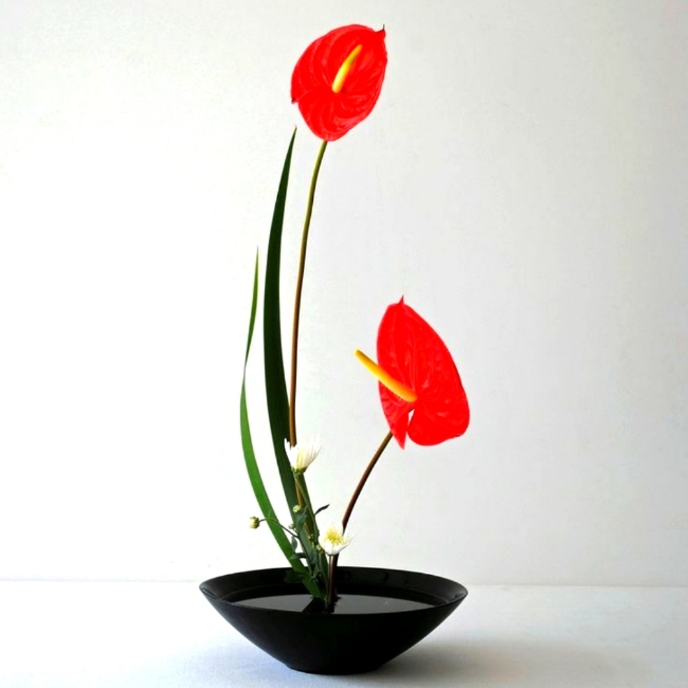 Elegant Red Anthurium Floral Arrangement